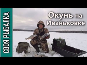 Окунь на блесну. Оторвался с одной лунки! Иваньковское водохранилище