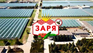 Вкус лета круглый год! 
Юбилейный фильм АО "СП "ЗАРЯ".