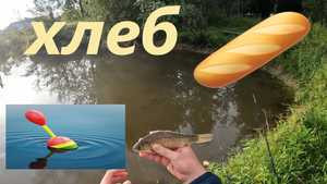 Ловлю КРУПНОГО КАРАСЯ на хлеб на маленьком пруду!!!