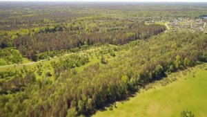 Участки ИЖС на берегу реки Луга. Малый Сабск.