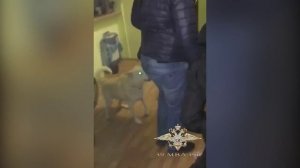 Калининградец задержан за продажу марихуаны в собственном подъезде