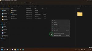 Nitrosense not working on acer nitro 5 after upgrading to windows 11 fix [2022]