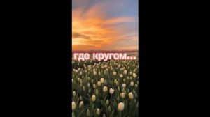 дом то место где кругом царит полный покой... Верни меня ДОМОЙ!!!