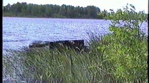 Нашли немецкий автоприцеп