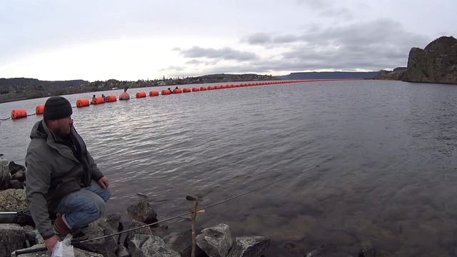 ловля сига зимой . клевал изумительно! супер удача. sig fishing . Whitefish смотреть онлайн