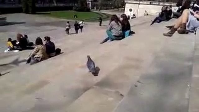 Hungarian National Museum at spring смотреть онлайн