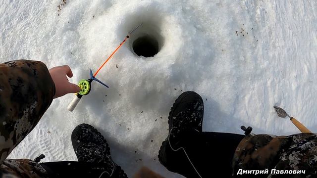 КАРАСИ ХВАТАЮТ НАЖИВКУ И ПРЯЧУТСЯ В КАМЫШ! ОТРЫВАЮ МОРМЫШКИ ОДНУ ЗА ДРУГОЙ! Рыбалка на карася зимой