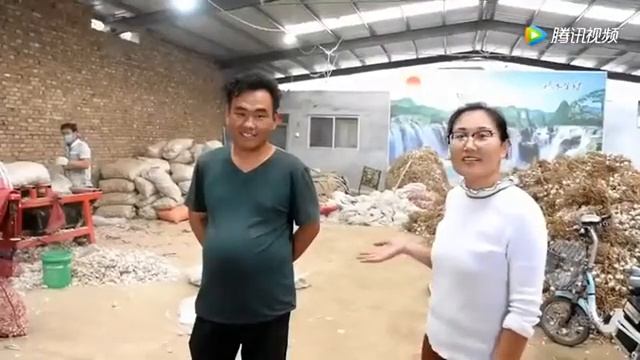 Китайский бизнес на чесноке