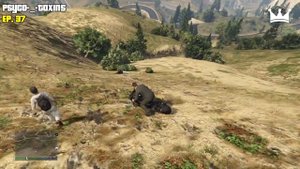 Топ 200 смешных моментов в Gta 5