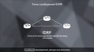 Протокол ICMP, утилиты ping и traceroute | Введение в сети, часть 10