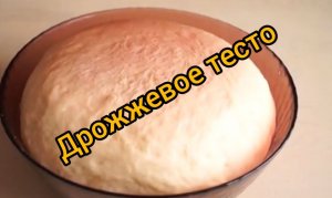 Как правильно приготовить дрожжевое тесто