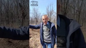 Как выбрать фундамент: Ростверк или плита? Фундамент для дома