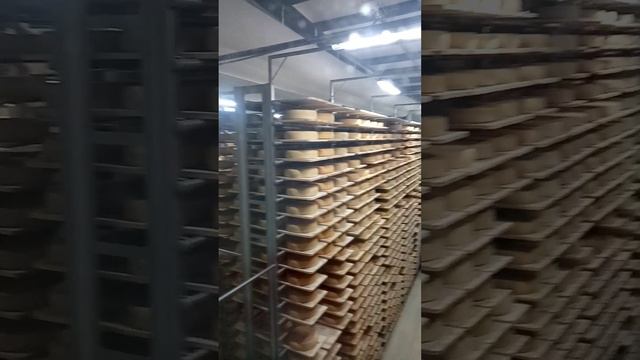 Эконива экскурсия. Сырзавод