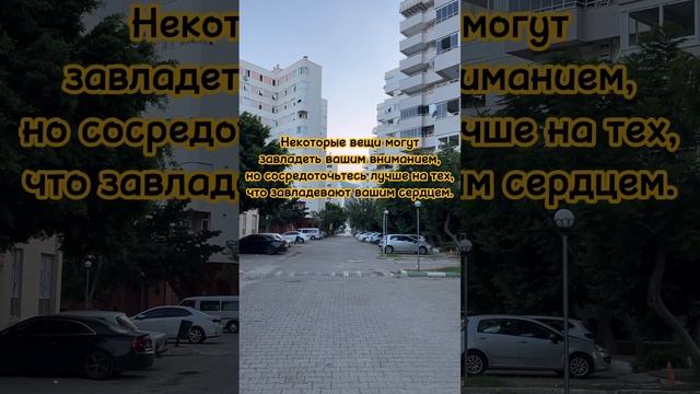 Некоторые вещи могут завладеть вашим вниманием #отсердцаксердцу #поэзия #стихи