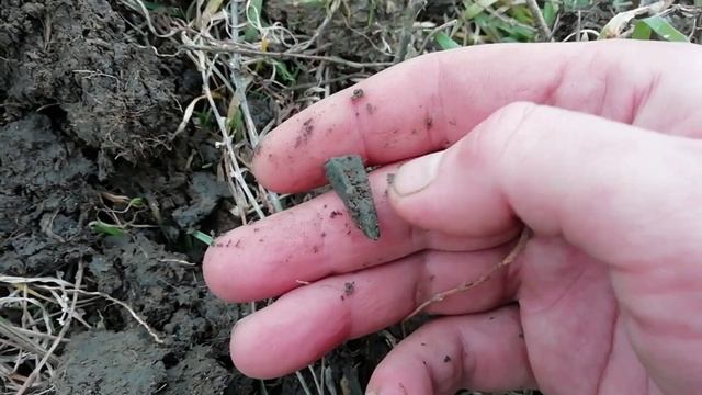 Думал мусор на дороге - оказалось нашел скифа смотреть онлайн