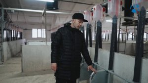 Система кормления супоросных свиноматок | АЛЬФАТЕХНОЛОГИИ