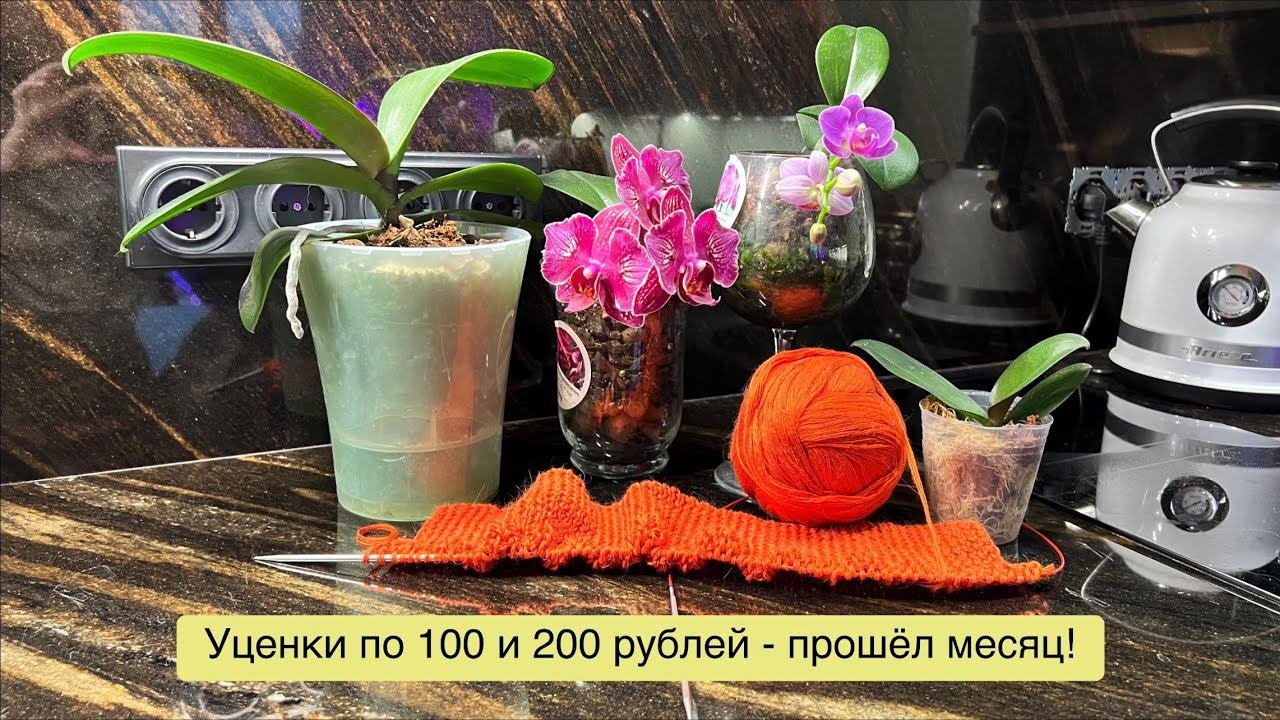 Азиатские подростки 1,7 и 2,5 из @orhorai  за 100 и 200 рублей спустя месяц!