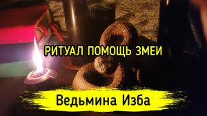ПОМОЩЬ ЗМЕИ. ДАРЮ ВСЕМ. ВЕДЬМИНА ИЗБА ▶️ МАГИЯ
