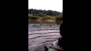 Рыбалка без удочек. Рыба сама прыгает в лодку.