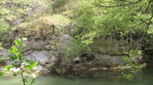 Обитатели реки Чёрной