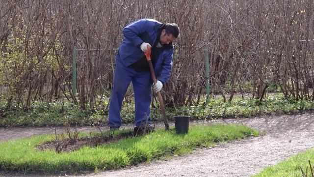 В розарии у Вольера поселилась Скарлет Боника смотреть онлайн