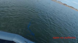 Удачная рыбалка Караси гиганты Кастинговая сеть лучшая снасть