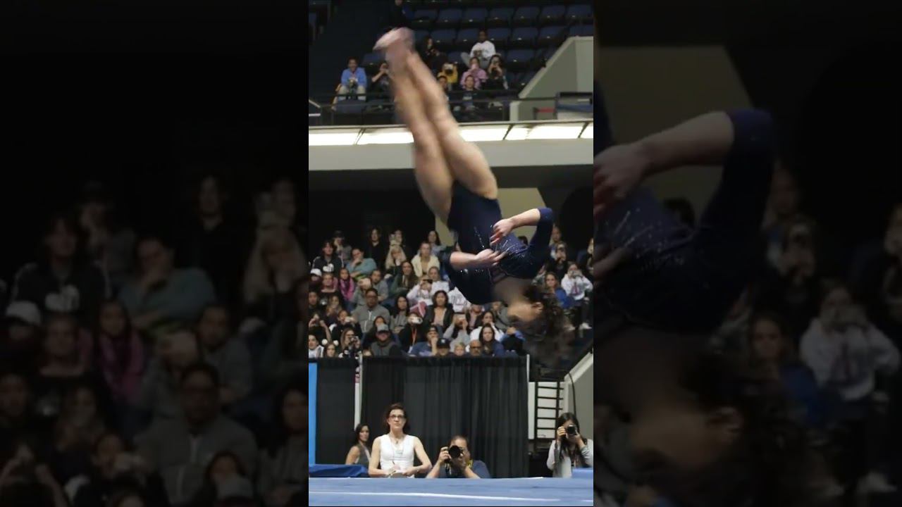 ПТАШЕЧКА - Кейтлин ОХАШИ - Светлана ЛОБОДА смотреть онлайн