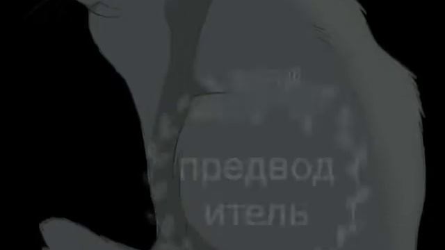 Малоизвестные коты воители из грозового племени смотреть онлайн