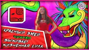 5. КРАСНЫЙ ЗМЕЙ | СОЛНЕЧНАЯ ПЕЧАТЬ КАЛЕНДАРЯ МАЙЯ