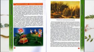 Занимательная ботаника