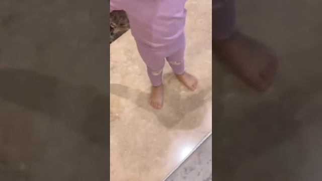 Ameena salting dibilang papata cantik rambut panjang, aduh aduh☺? #ameena #attahalilintar #attaaure смотреть онлайн