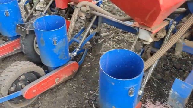 Посев подсолнечника