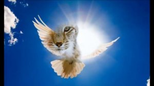 Deva Premal   Om Ram Ramaya