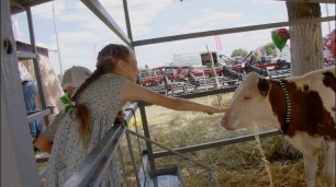 Курская Коренская ярмарка 2022. Выставка животноводства