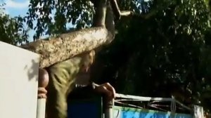 Моя Ужасная История  Самый высокий человек в мире