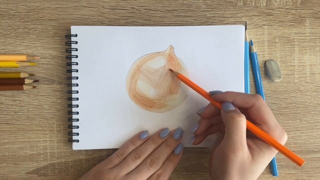 Рисунок цветными карандашами луковицы | Поэтапная срисовка для начинающих смотреть онлайн