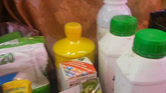 Чем я подкармливаю свою рассаду на разных этапах развития в одном ролике 🌱🍀🌳🌷🌻 смотреть онлайн