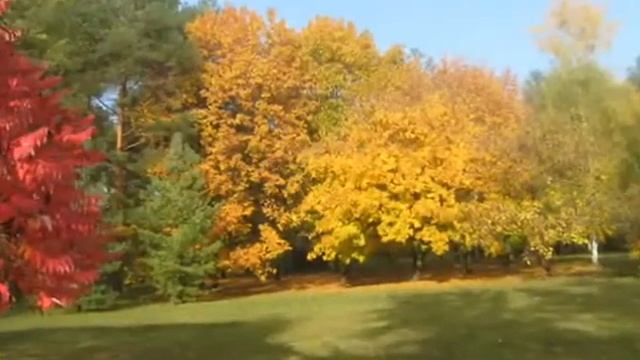 Осенние зарисовки xvid смотреть онлайн