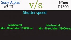 Sony Alpha a7 III vs Nikon D7500