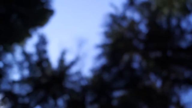 Миша Смирнов смотреть онлайн