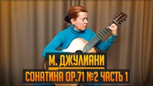 М Джулиани Сонатина op 71 №2 Часть 1 M.Giuliani Sonatina 71 op.2 p.1