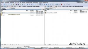 Установка нескольких терминалов MetaTrader 4 на компьютер