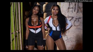 Lil' Wayne & City Girls | Twerk [Remix] [Official]