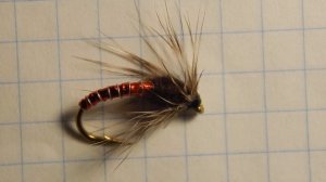 Мотыль ( мокрая муха )