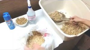 How to clean a cat wood pellet litter box