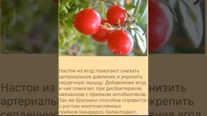 ?Подборка видео для Ведьмочек/Травниц из ТТ?