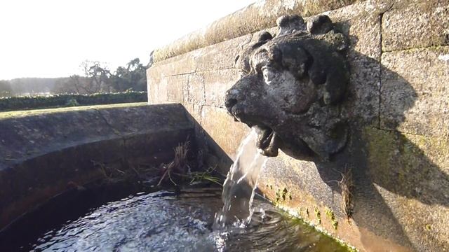 Panasonic Lumix DMC-FX90 Video смотреть онлайн