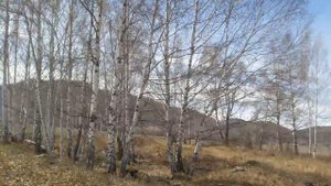 Катандинский курган.  40 метров в диаметре. Скифский курган