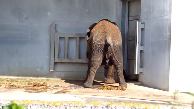 Самое важное видео на канале. 18+ (арт-хаус. Не для всех) смотреть онлайн