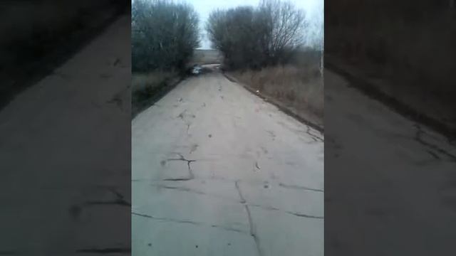 Дорога из поселка Грицовский в Новомосковск